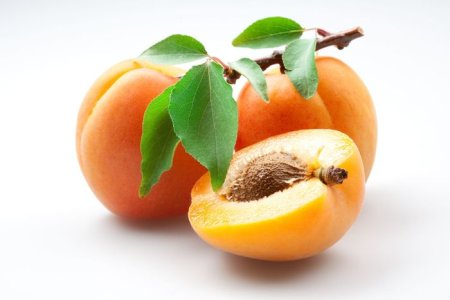 Apricot 5